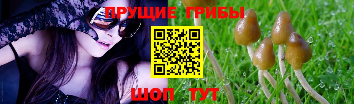 Аша  Галлюциногенные грибы мицелий  Вход с VPN  Галлюциногенные грибы Psilocybe 
